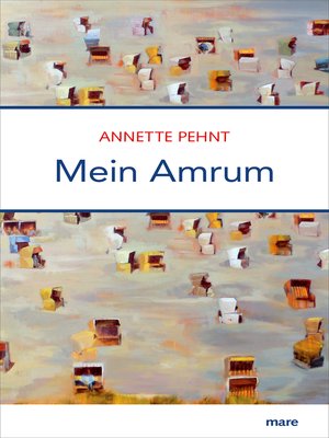 cover image of Mein Amrum